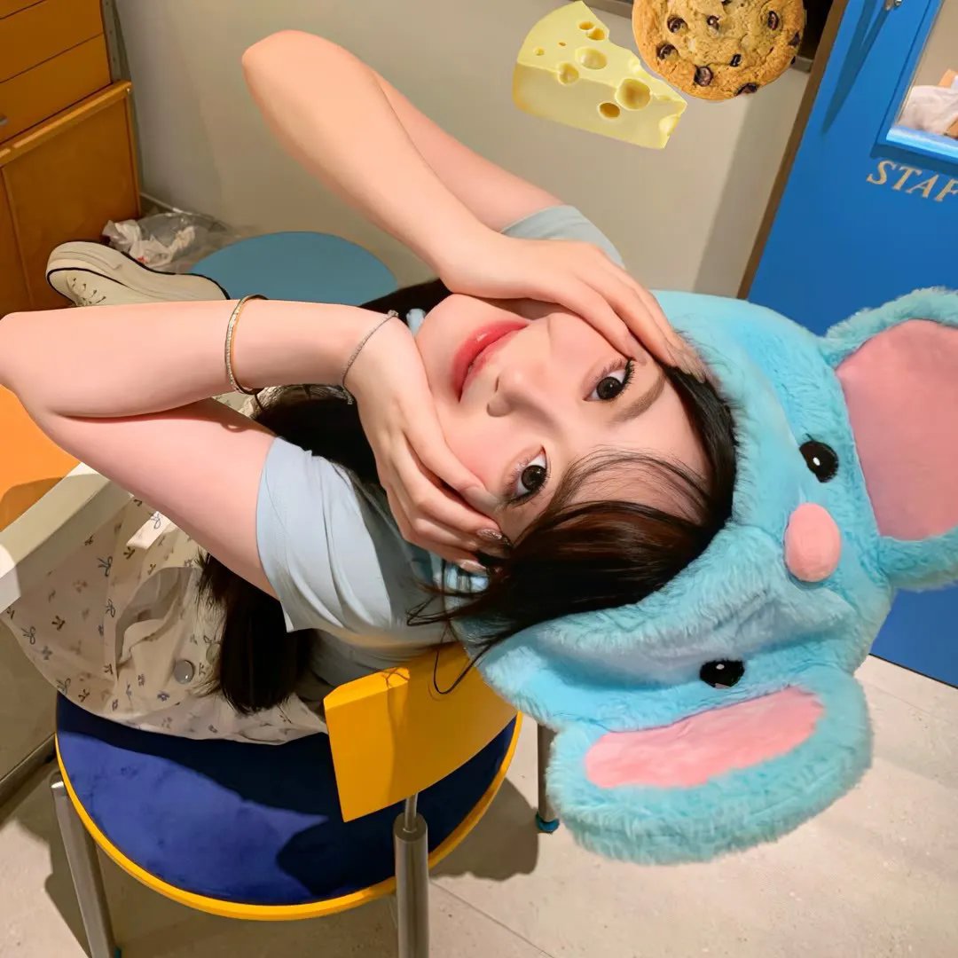 导演先生的完美假期